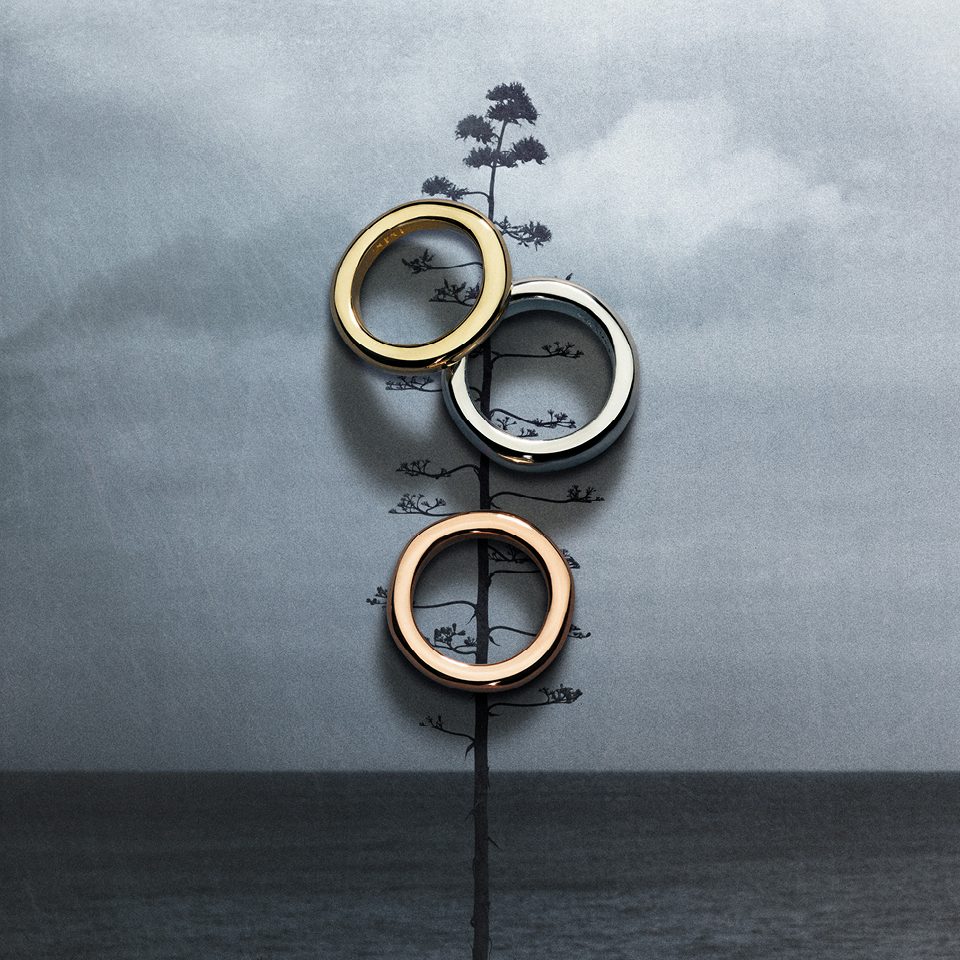 DoDo – composition